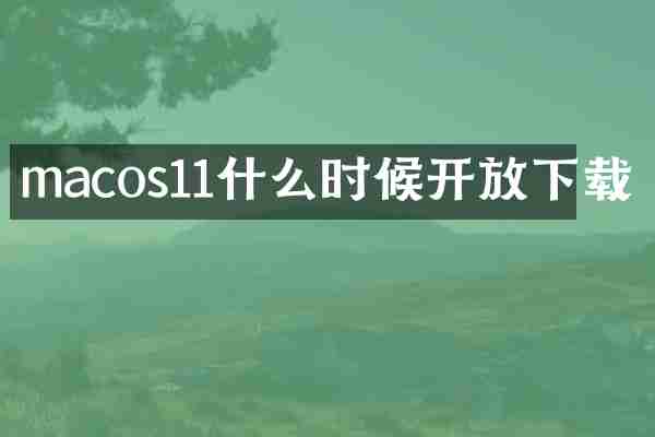 macos11什么时候开放下载