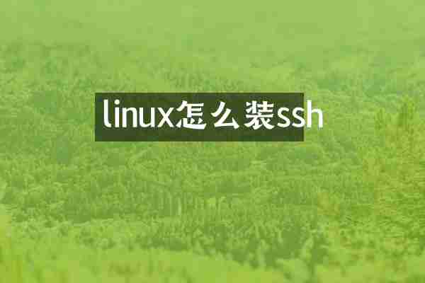 linux怎么装ssh
