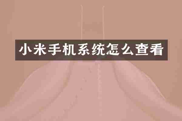 小米手机系统怎么查看