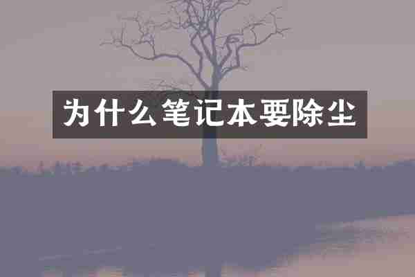 为什么笔记本要除尘