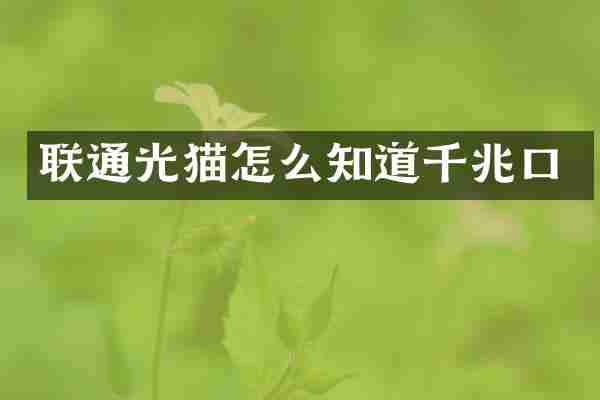 联通光猫怎么知道千兆口