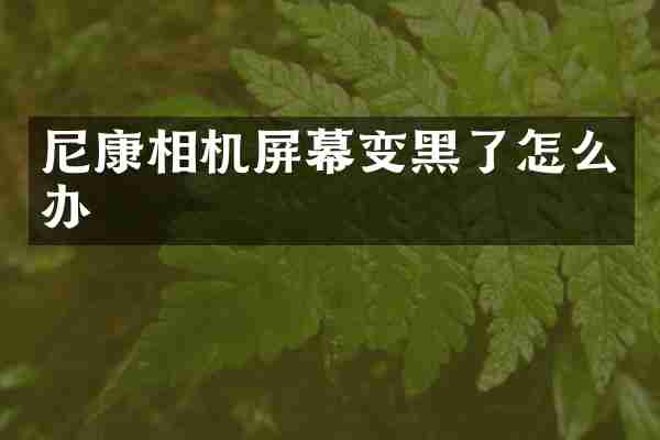 尼康相机屏幕变黑了怎么办