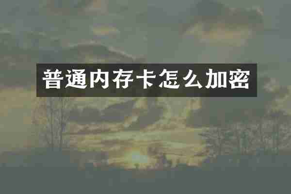 普通内存卡怎么加密