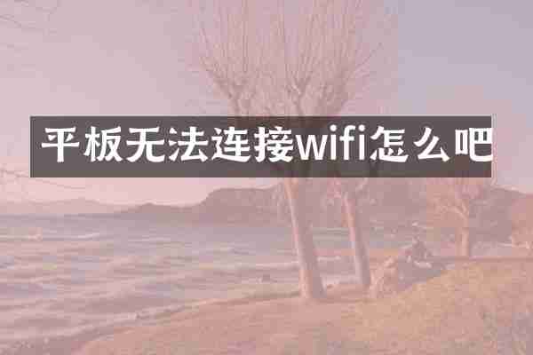 平板无法连接wifi怎么吧