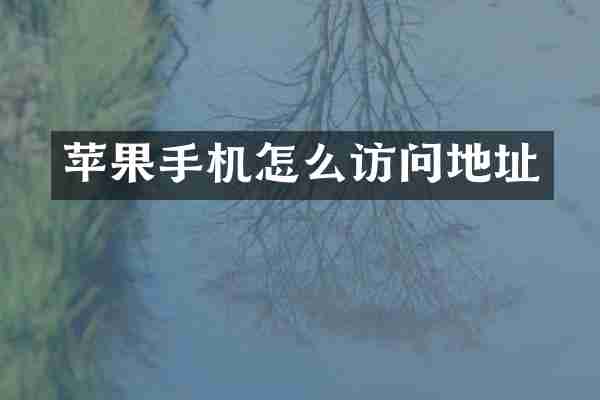 苹果手机怎么访问地址