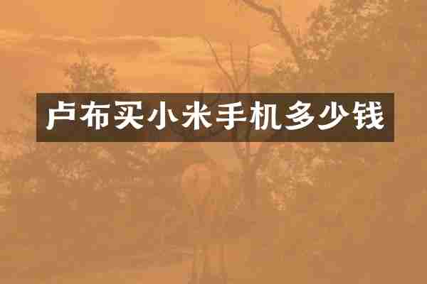 卢布买小米手机多少钱