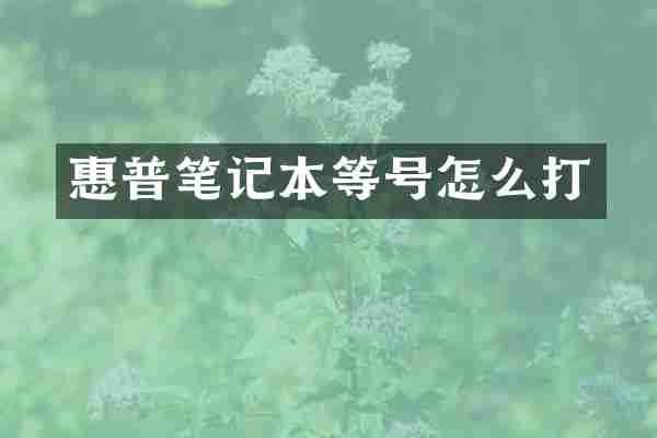 惠普笔记本等号怎么打