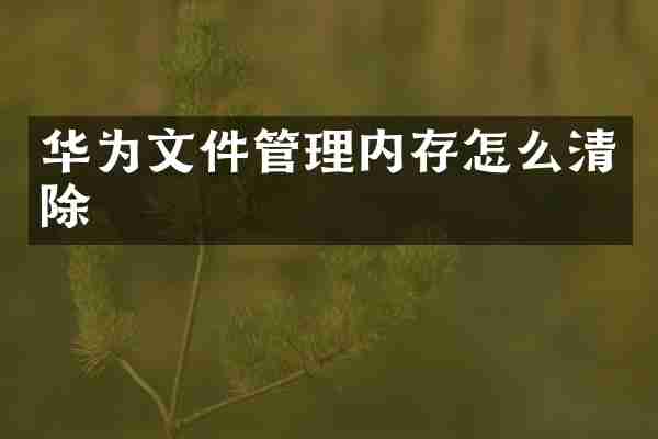 华为文件管理内存怎么清除