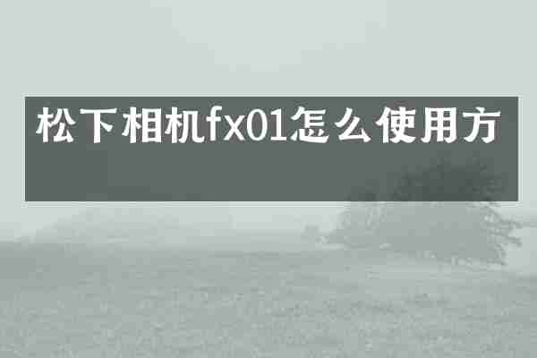 松下相机fx01怎么使用方法