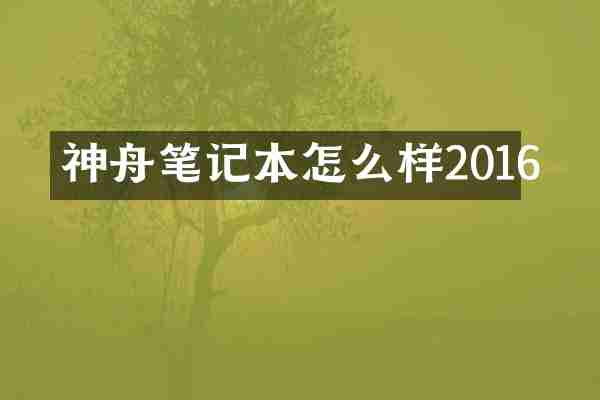 神舟笔记本怎么样2016