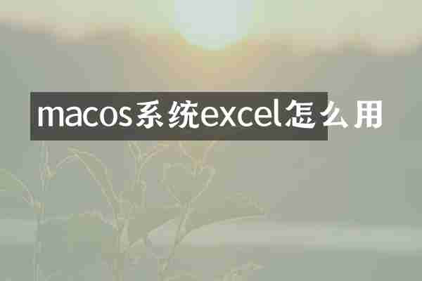 macos系统excel怎么用