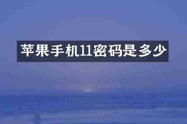 苹果手机11密码是多少