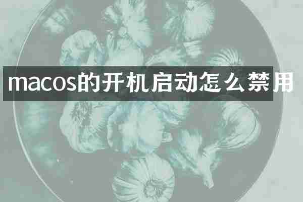 macos的开机启动怎么禁用