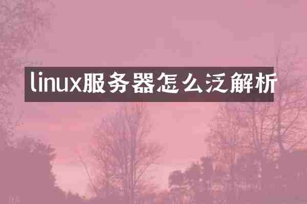 linux服务器怎么泛解析