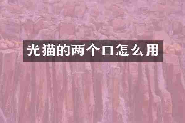 光猫的两个口怎么用