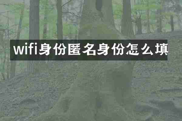 wifi身份匿名身份怎么填