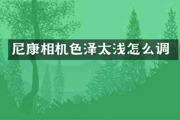 尼康相机色泽太浅怎么调