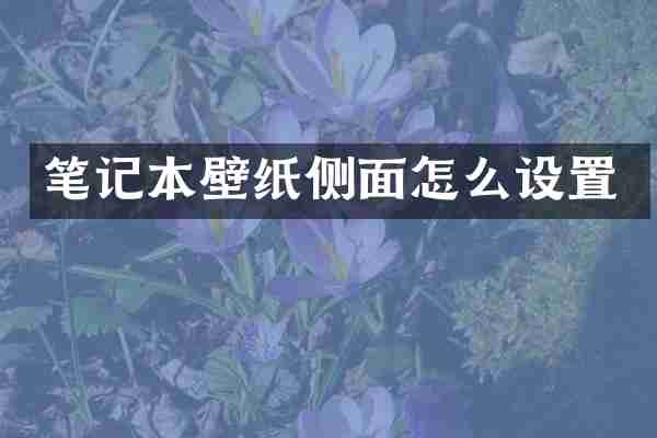 笔记本壁纸侧面怎么设置