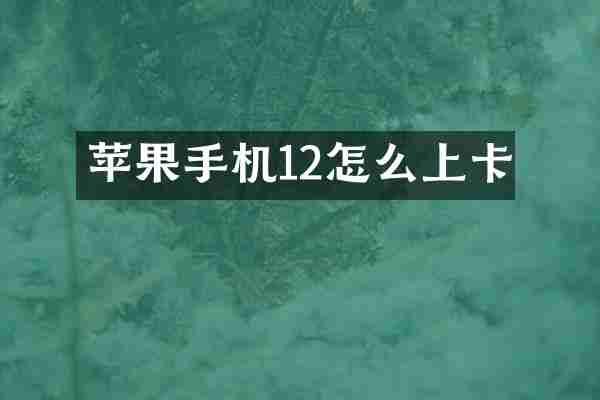 苹果手机12怎么上卡
