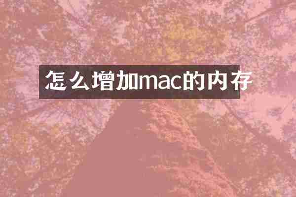 怎么增加mac的内存