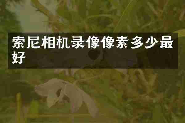 索尼相机录像像素多少最好