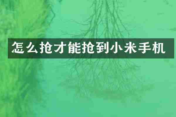 怎么抢才能抢到小米手机