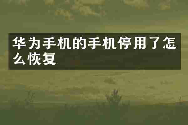 华为手机的手机停用了怎么恢复