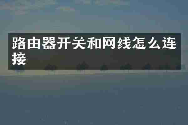 路由器开关和网线怎么连接
