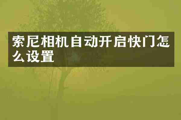 相机自动开启快门怎么设置