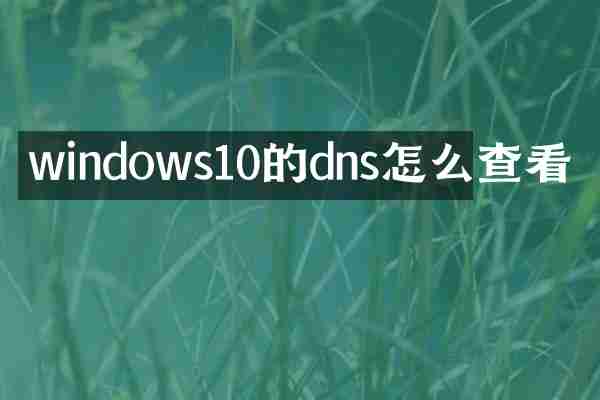 windows10的dns怎么查看