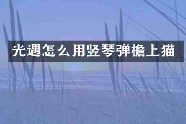 光遇怎么用竖琴弹檐上猫