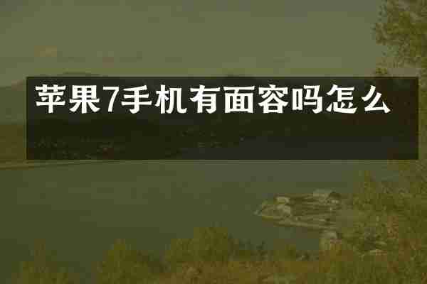 苹果7手机有面容吗怎么弄