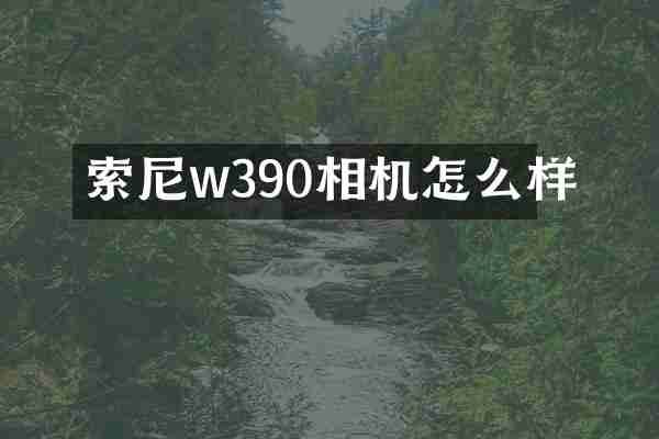 w390相机怎么样
