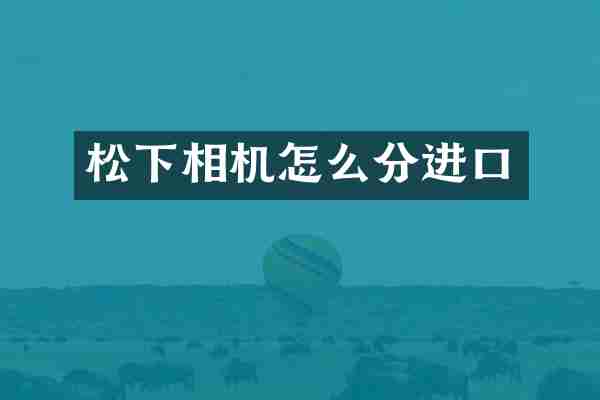 松下相机怎么分进口
