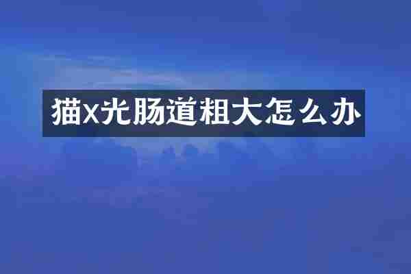 猫x光肠道粗大怎么办