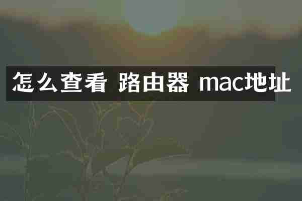 怎么查看 路由器 mac地址