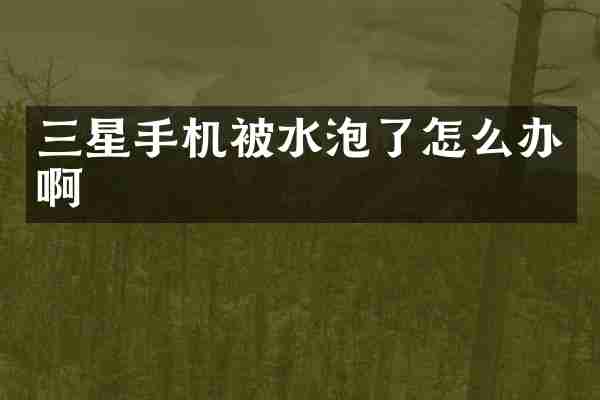 三星手机被水泡了怎么办啊