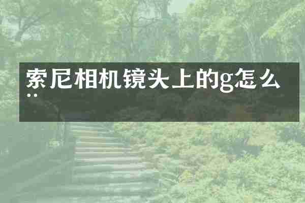 相机镜头上的g怎么用