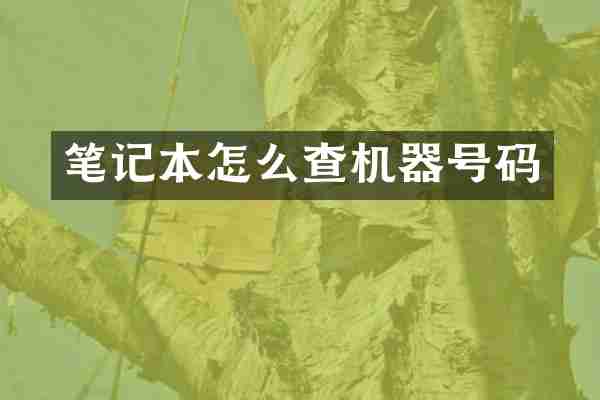 笔记本怎么查机器号码