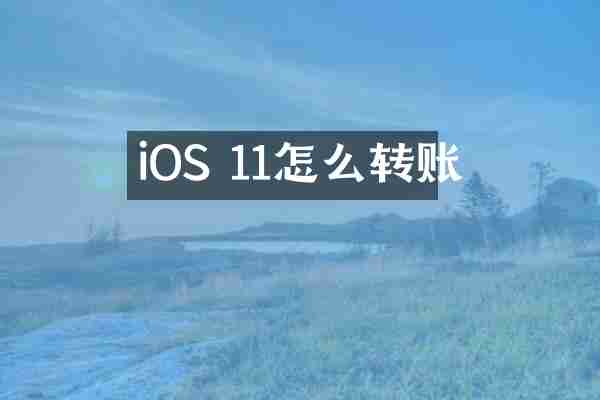 iOS 11怎么转账