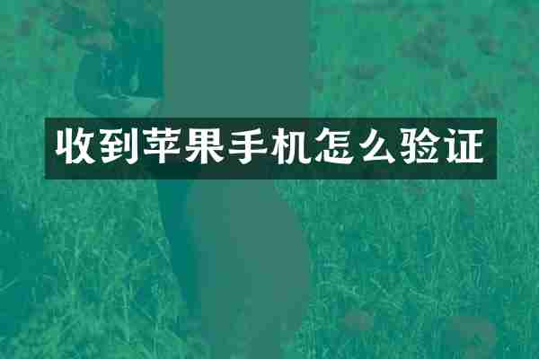 收到苹果手机怎么验证