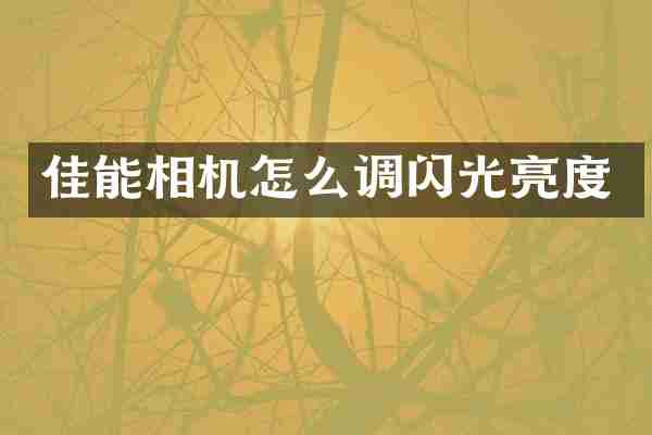佳能相机怎么调闪光亮度