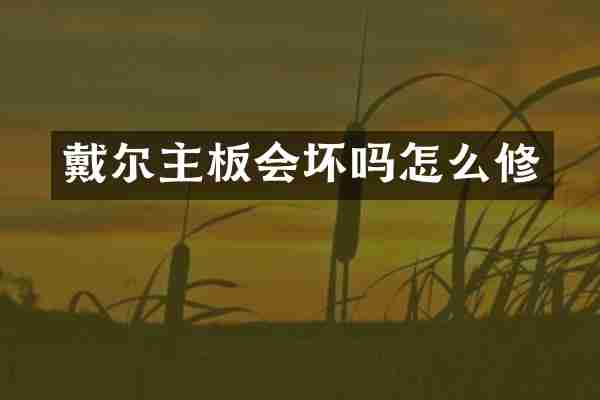 戴尔主板会坏吗怎么修