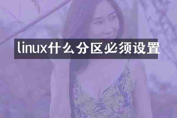 linux什么分区必须设置