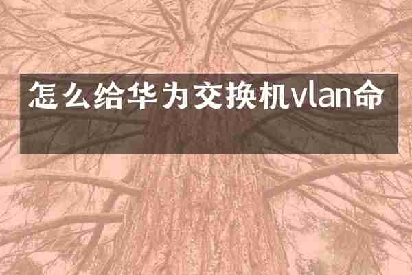 怎么给华为交换机vlan命名