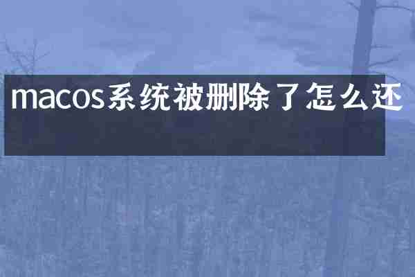 macos系统被删除了怎么还原