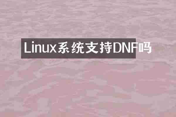 Linux系统支持DNF吗