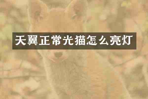 天翼正常光猫怎么亮灯