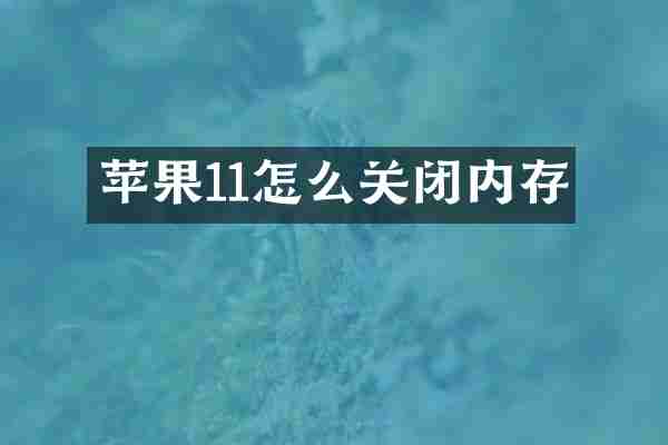 苹果11怎么关闭内存