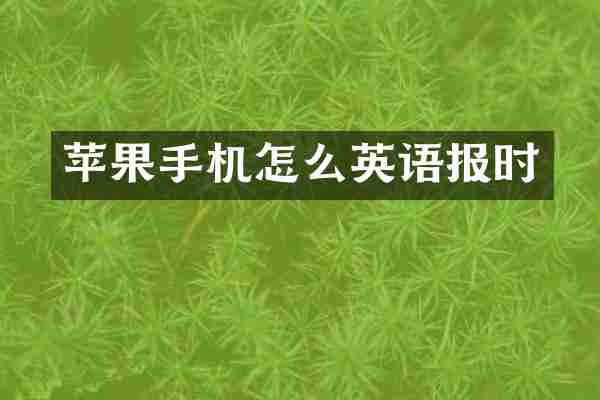 苹果手机怎么英语报时